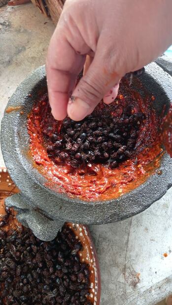 De la tierra al molcajete | Foto: Wikimedia Commons