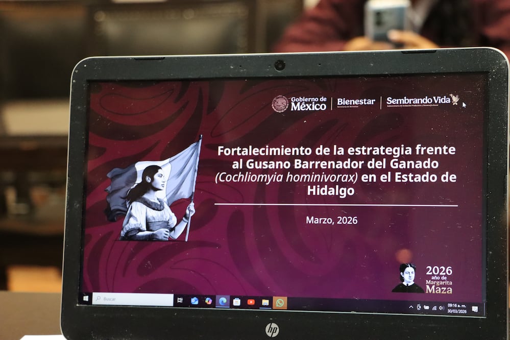 En Hidalgo se han acumulado 156 casos de gusano barrenador, de los cuales 69 permanecen activos | Foto: SADERH