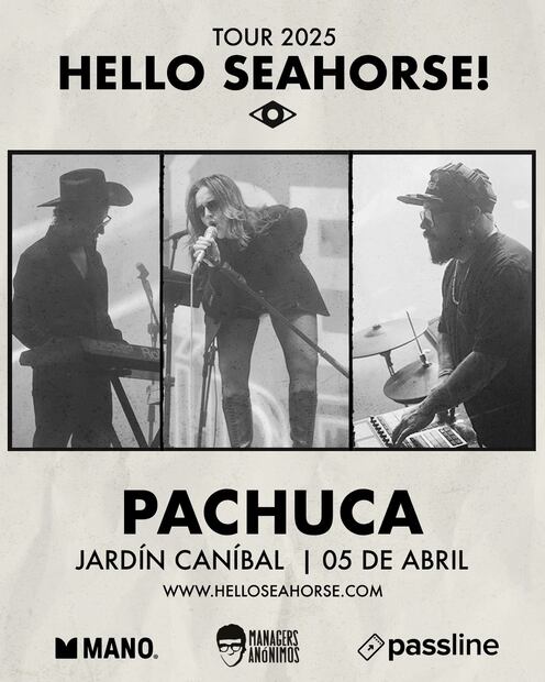 Hello Seahorse! en Pachuca: un concierto imperdible para los amantes de la música indie | Facebook: Jardín Canibal