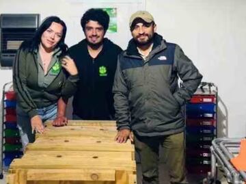 Video: Capturan a un jaguar en Pacula y lo trasladan a Pachuca para atención médica