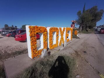 Floricultultores de Doxey invitan a comprar flor para Día de Muertos