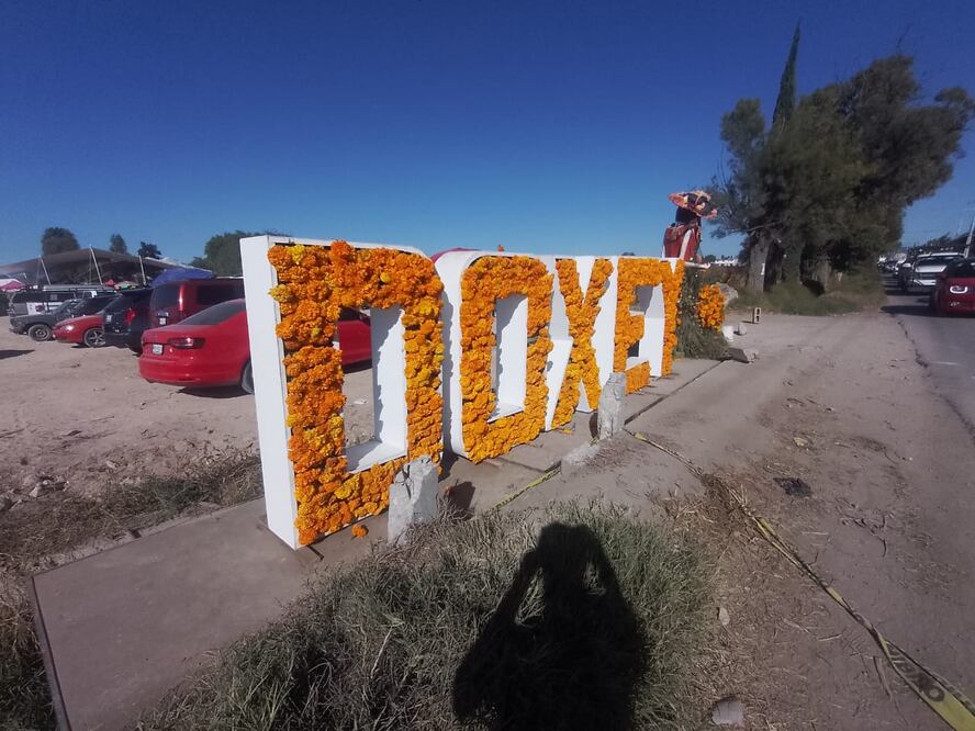 Venta de flor de día de muertos en Doxey. Fotos: Joselyn Sánchez