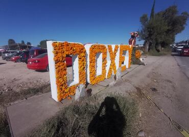 Floricultultores de Doxey invitan a comprar flor para Día de Muertos