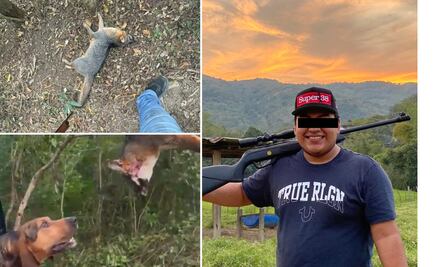 Denuncian presunta caza furtiva de zorro en Tehuetlán