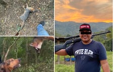 Denuncian presunta caza furtiva de zorro en Tehuetlán