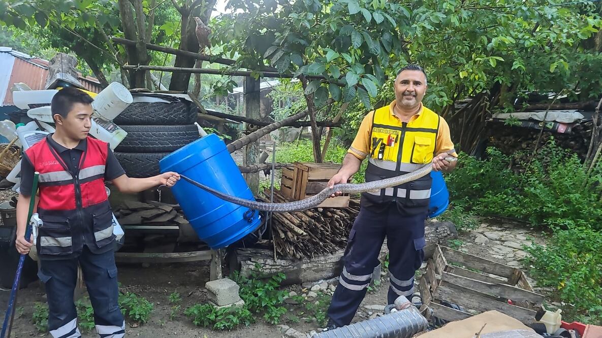 Cuidemos la fauna | Foto: especial