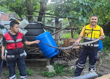 Bomberos de Huejutla piden evitar el sacrificio de animales silvestres