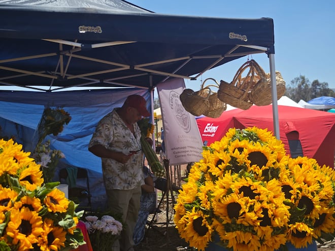 Inauguran Feria de Girasoles con artesanías, gastronomía y actividades culturales