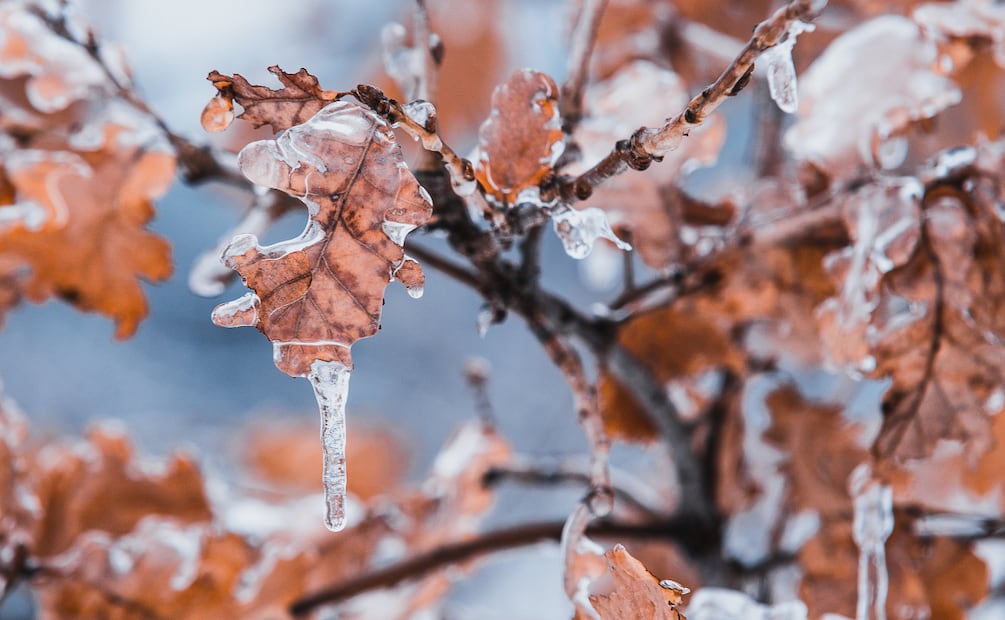 Muertes en situación de calle aumentan en la zona metropolitana de Pachuca | Foto: Pexels