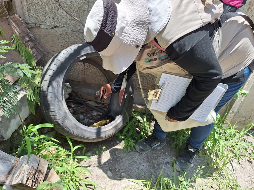 Dengue retrocede en Hidalgo; casos caen casi 90% durante 2026 | Foto: SSH