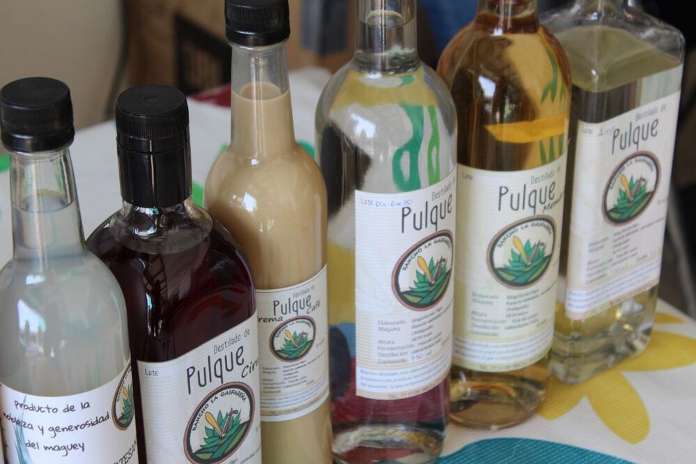 ¡Celebra la magia del maguey en Singuilucan! Foto: Turismo Hidalgo