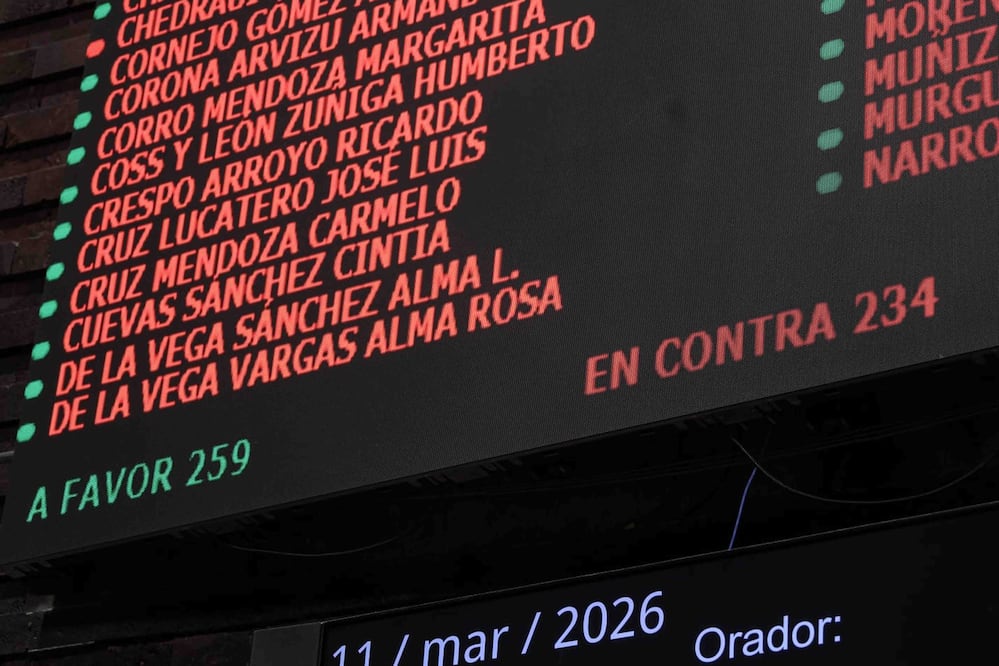 La Reforma Electoral fue desechada al no contar con la mayoría calificada de votos. Foto: Agencia EL UNIVERSAL/Gabriel Pano/SEFC.