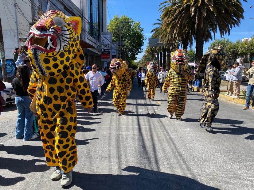 Tiempo de Carnaval en Hidalgo I Foto: Luis Soriano