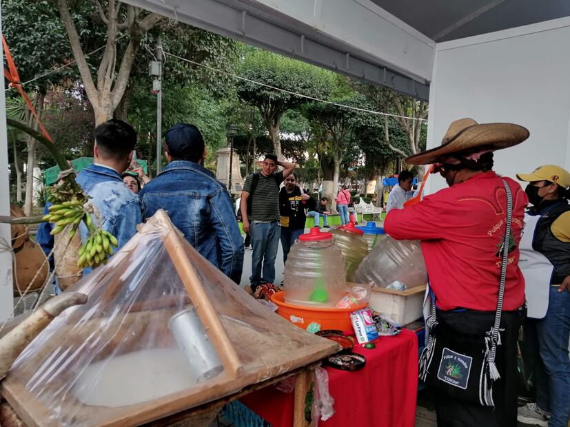 Festival Gastronómico Tulancingo Foto: Grisel Lira