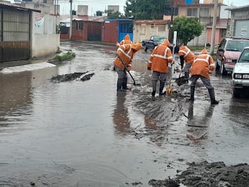 Caída de árboles, encharcamientos y drenes con alto nivel por lluvias en Pachuca y la Reforma