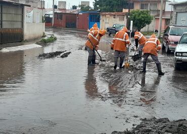 Caída de árboles, encharcamientos y drenes con alto nivel por lluvias en Pachuca y la Reforma