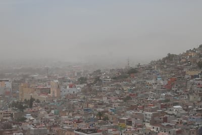 Pachuca activa alerta roja por fuertes rachas de viento este sábado