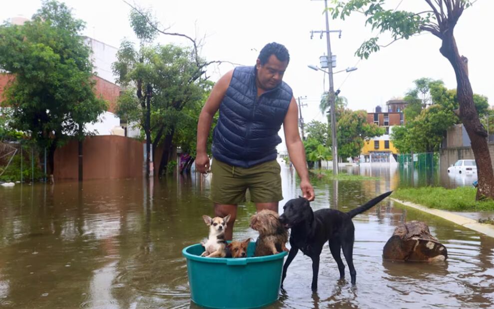 Acapulqueños utilizan sus recursos para rescatar a sus mascotas. Foto: Valente Rosas / EL UNIVERSAL
