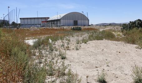 Fundación Delia Hidalgo By Milka promueve amparo contra revocación de predio