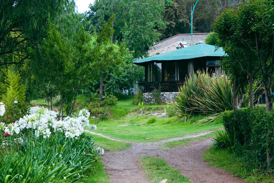 Huasca de Ocampo tendrá su primer Hongosto Fest 2026 | Facebook: Centro Ecoturistico Del Lago