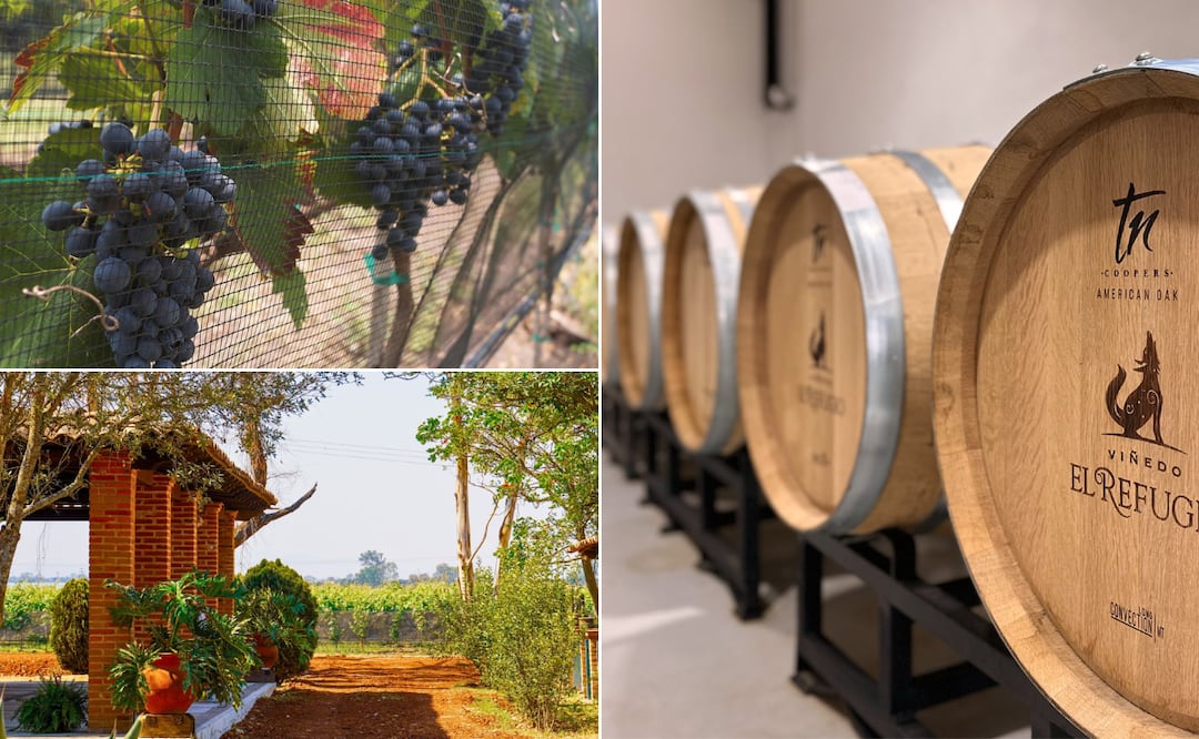 Facebook: Viñedo El Refugio
