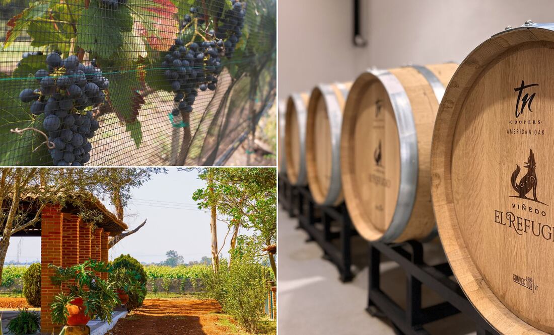 Facebook: Viñedo El Refugio