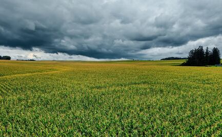 Lluvias revierten la sequía en Hidalgo y abren paso a la tecnificación del campo