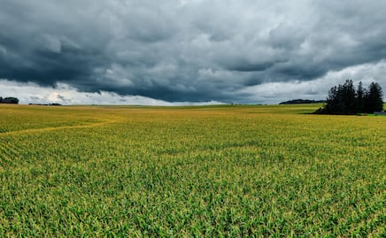 Lluvias revierten la sequía en Hidalgo y abren paso a la tecnificación del campo
