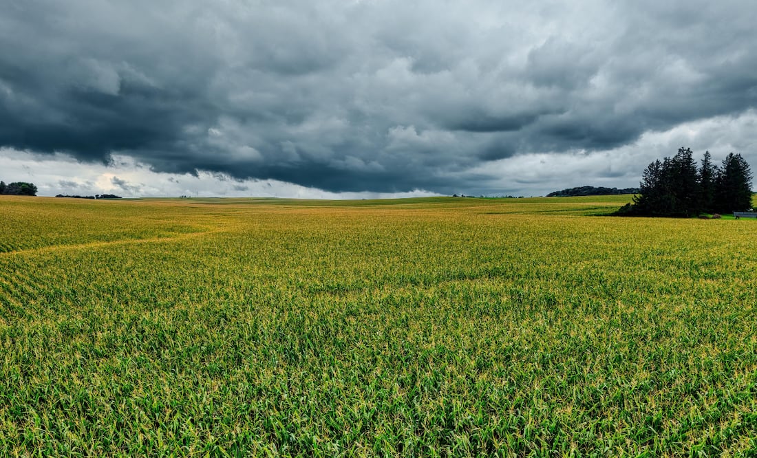 Tras dos años de sequía, el campo hidalguense por fin respira | Foto: Pexels