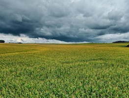 Lluvias revierten la sequía en Hidalgo y abren paso a la tecnificación del campo