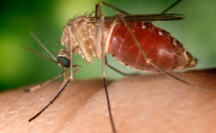 Arranca la Segunda Jornada Nacional de Lucha contra el Dengue