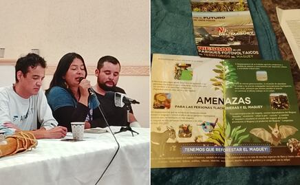 Alertan riesgo de ecocidio en magueyeras de Hidalgo por instalación de parques solares