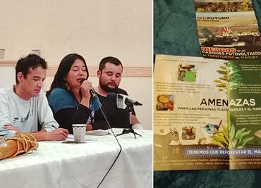 Alertan riesgo de ecocidio en magueyeras de Hidalgo por instalación de parques solares