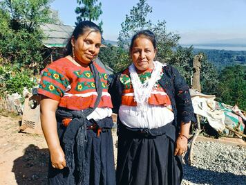 Delegados de comunidades indígenas contarán con certeza jurídica; tras reforma local