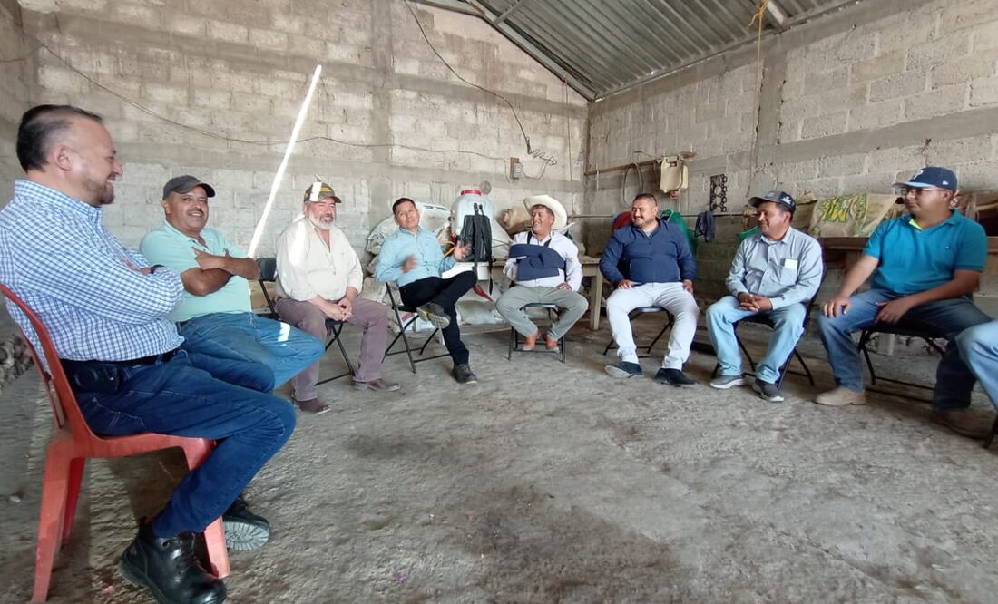 Productores del valle de Tulancingo apuestan por la agricultura por contrato
Fotos especiales