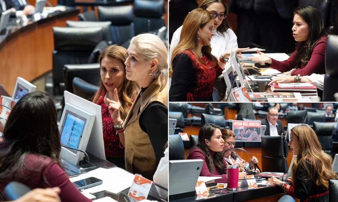 La senadora del Partido Revolucionario Institucional (PRI) Carolina Viggiano Austria encaró a la representante del Movimiento Regeneración Nacional (Morena), Simey Olvera I Foto: Especial