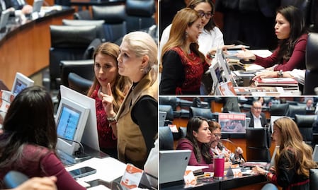 Video: Ahora Viggiano desata confrontación en el Senado