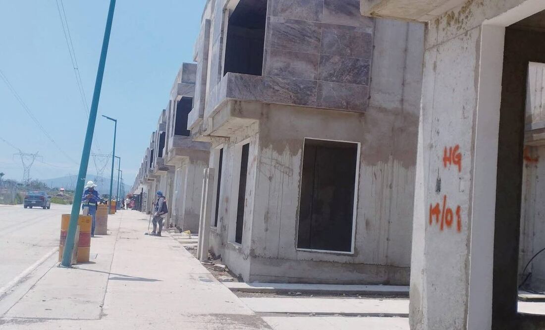 Exigen justicia y medidas para proteger a los animales | Foto: especial