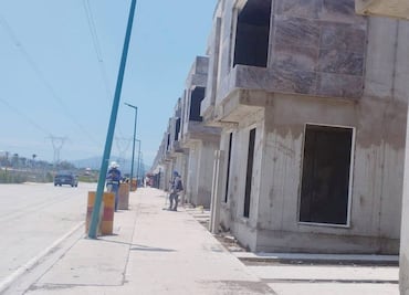 Indignación en Tizayuca por cachorro arrojado desde obra de desarrolladora SADASI
