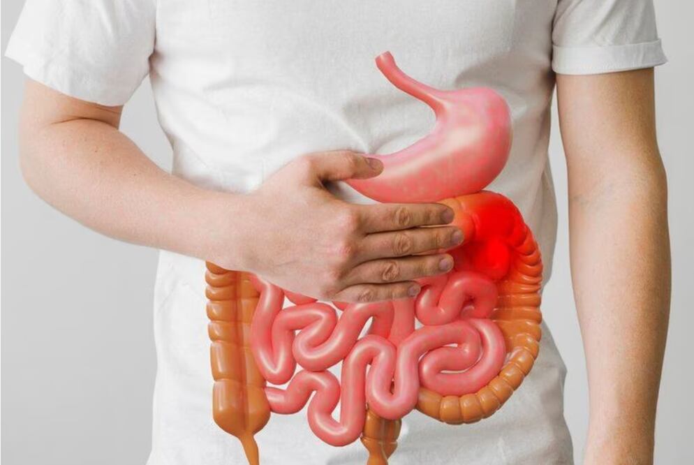 Combatir el hígado graso con frutas
Foto: especial