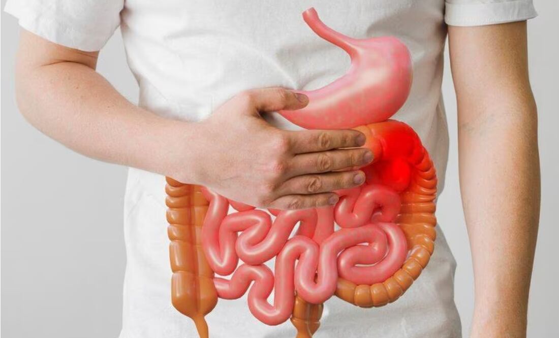 Combatir el hígado graso con frutas
Foto: especial