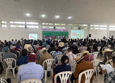 Productores de la Sierra y Huasteca se capacitan en manejo integral de cítricos