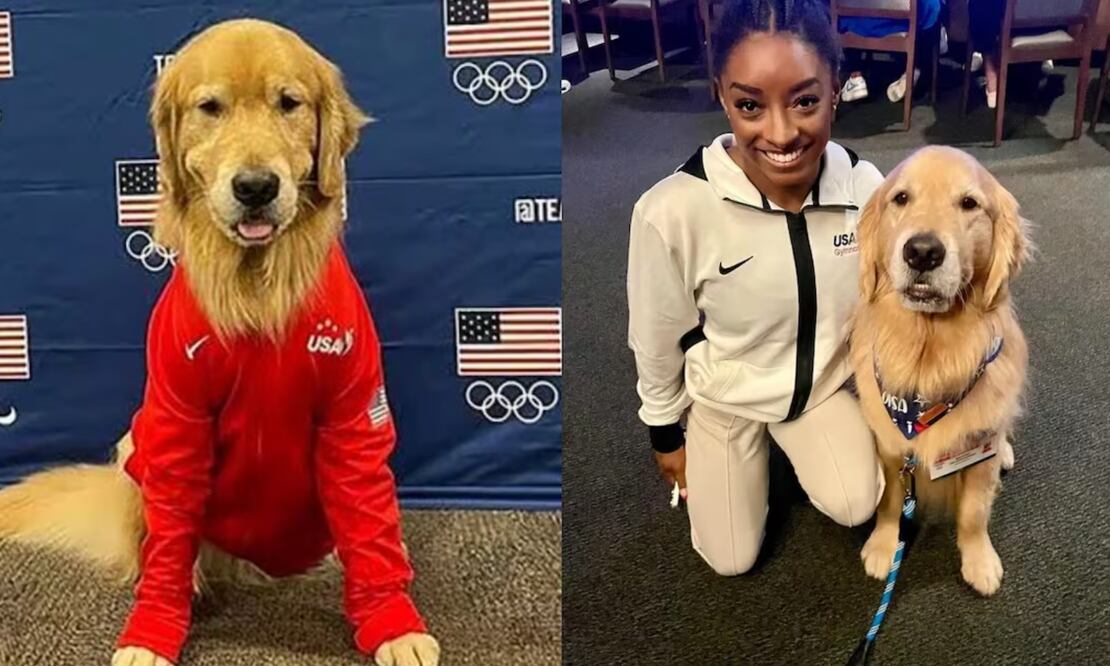 Destacando uno en especial, quien bajo el nombre de Beacon se ha robado las cámaras de los seguidores de todo el mundo por acompañar a los atletas estadounidenses por el mundo.