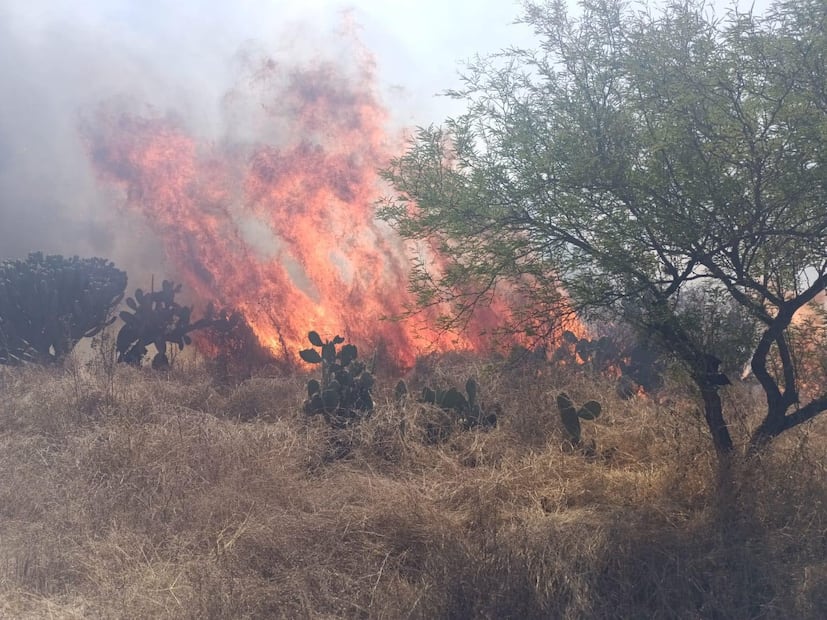 Hidalgo suma 31 declaratorias de emergencia por desastres naturales en 24 años | Foto: especial