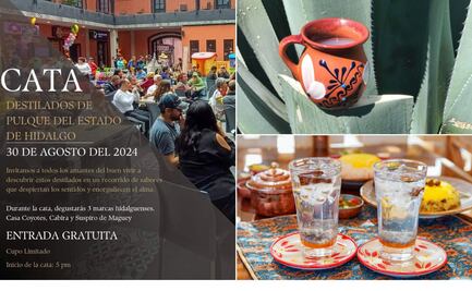 Destilado de pulque: una experiencia que celebra la tradición y la innovación en Hidalgo