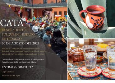 Destilado de pulque: una experiencia que celebra la tradición y la innovación en Hidalgo