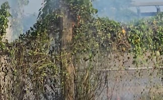 Persisten quemas de basura en Huejutla y aumentan los incendios de pastizal