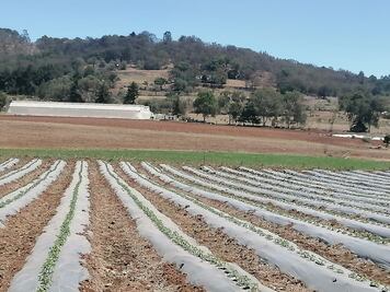 Trabajar en favor del medio ambiente no es un tema de moda: señalan activistas rurales