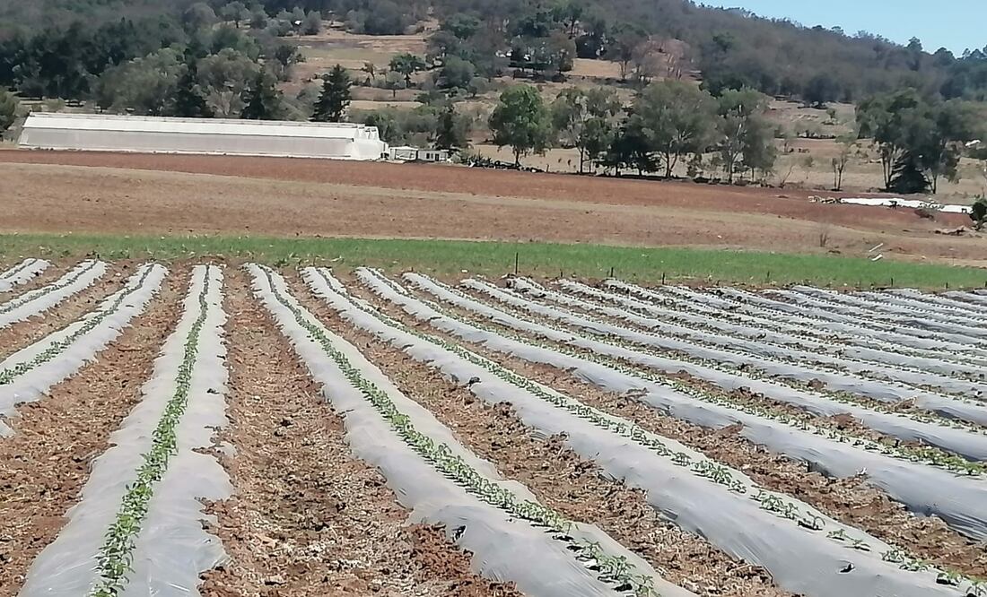 Especialistas rurales urgen a proteger al suelo| Foto: Grisel Lira
