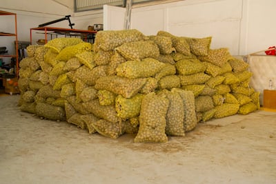 Productor de Metztitlán dona 15 toneladas de papa para familias damnificadas por lluvias